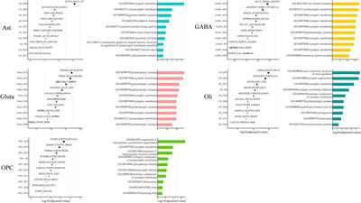 Shared and Cell-Type-Specific Gene Expression Patterns Associated With Autism Revealed by Integrative Regularized Non-Negative Matrix Factorization